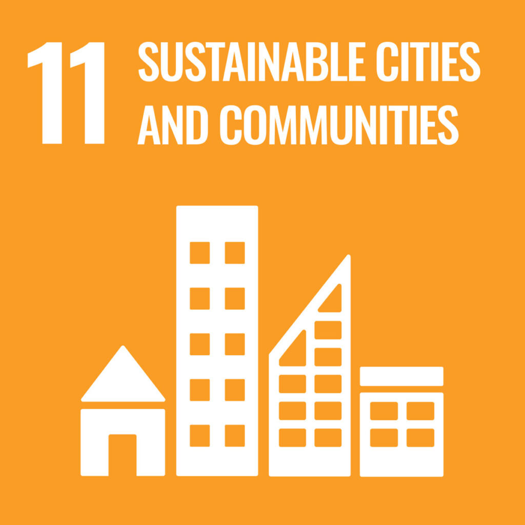 sdg 11
