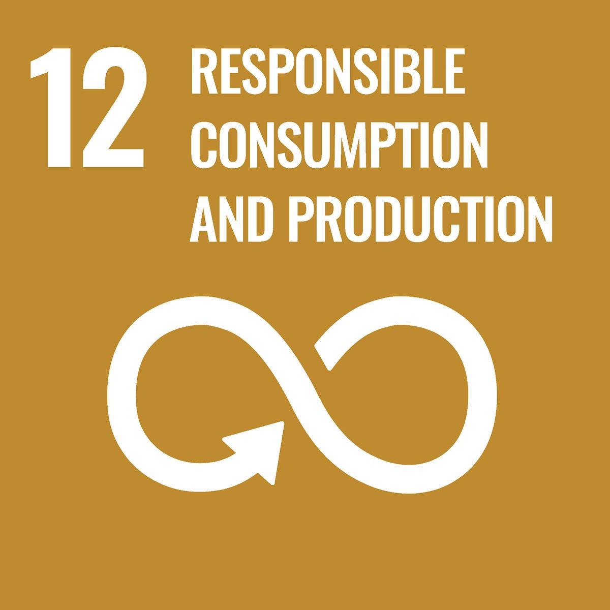 sdg 12