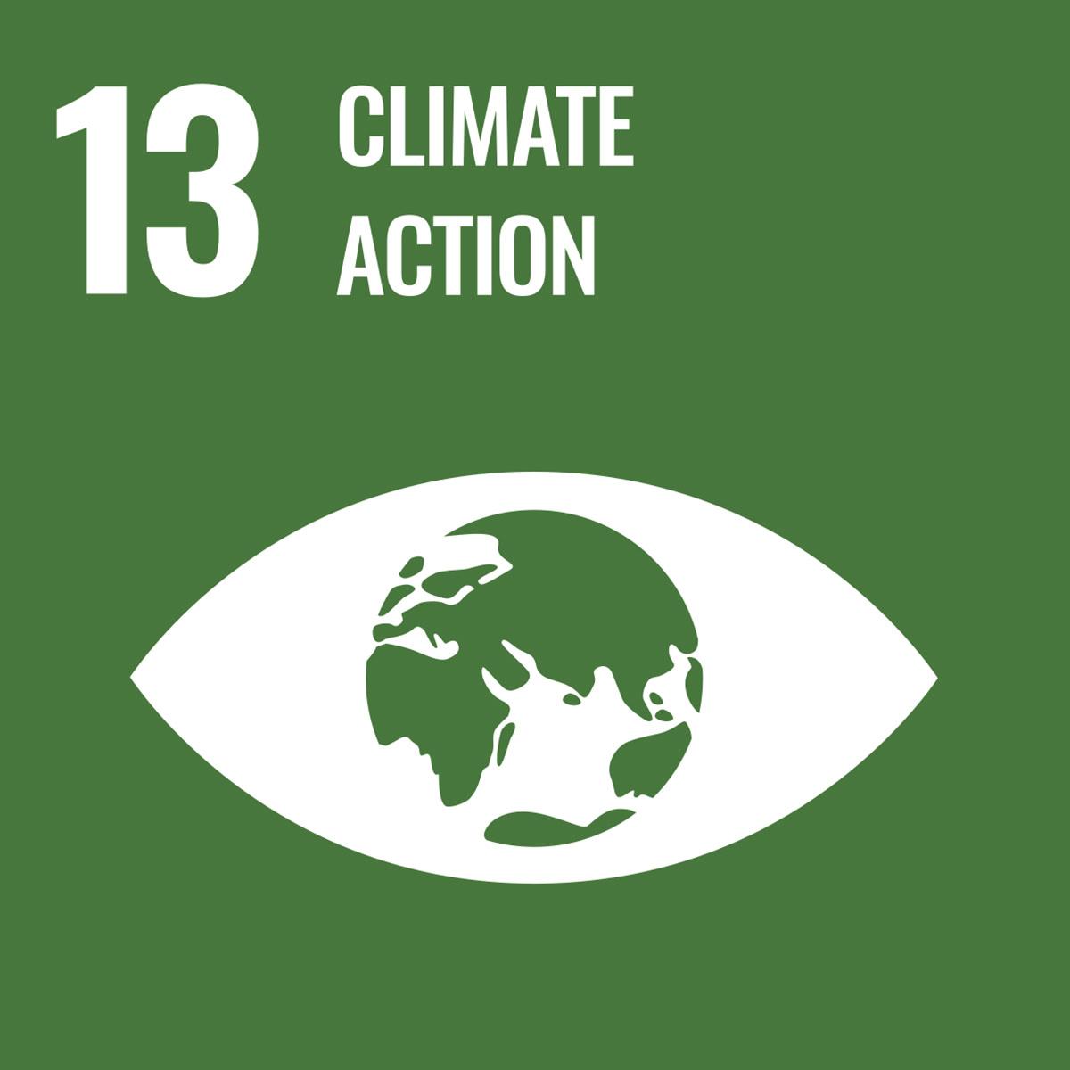 sdg 13