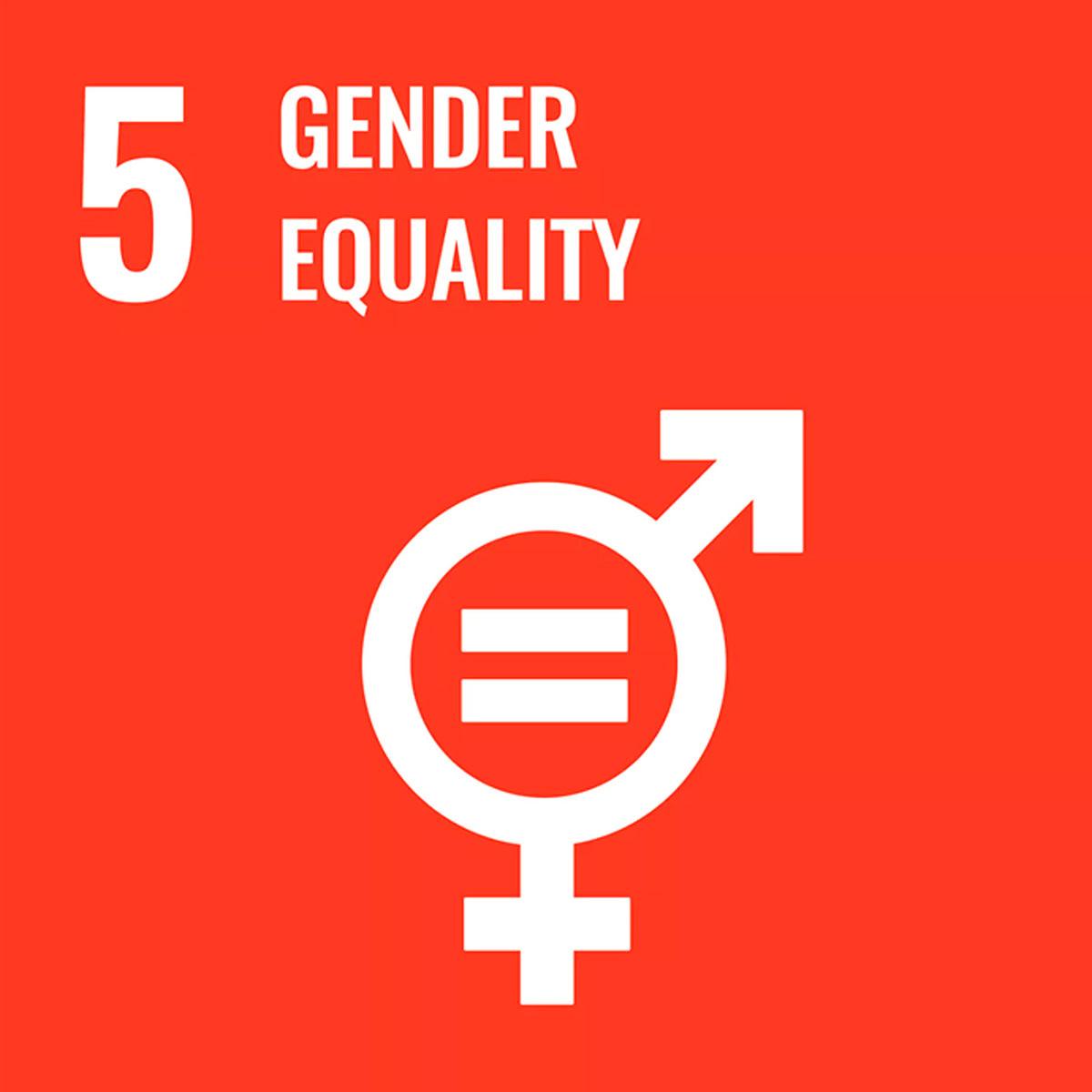sdg 5