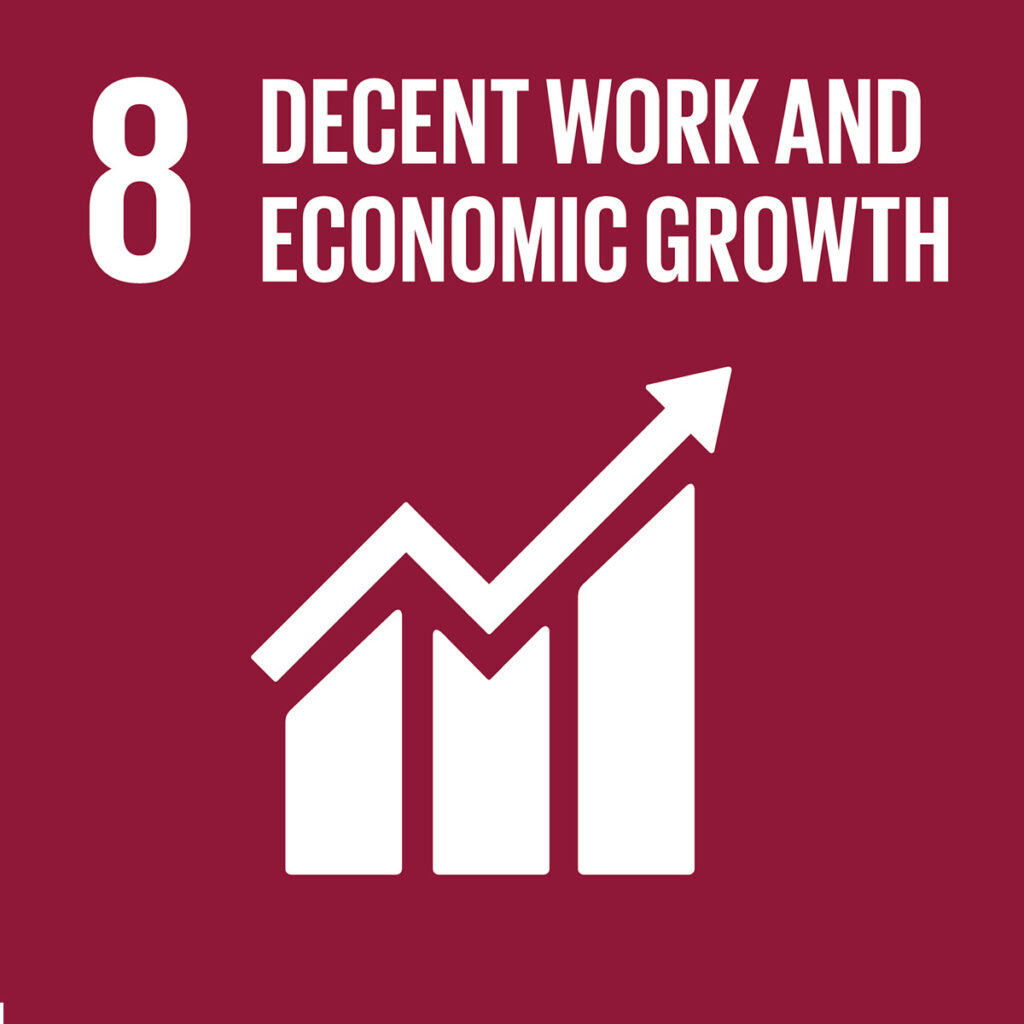 sdg 8